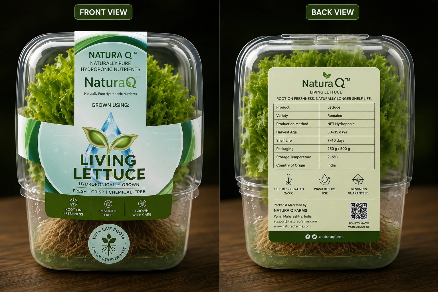 Hydroponic Lettuce